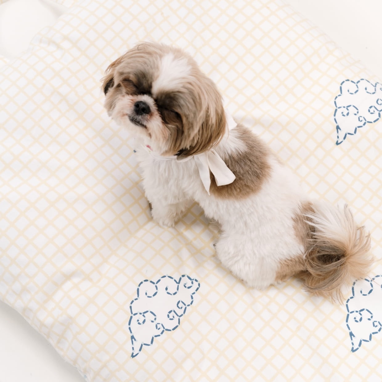 Head In The Clouds - Sunrise - (Pooch Bed + Cushion)